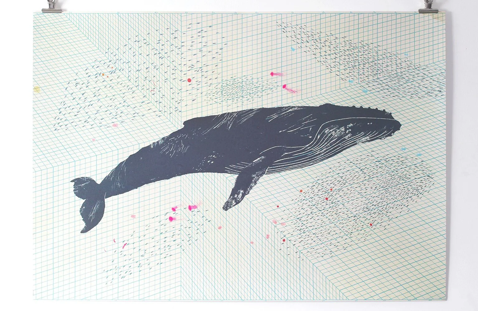 1+-+Humpback+poster+photo+for+